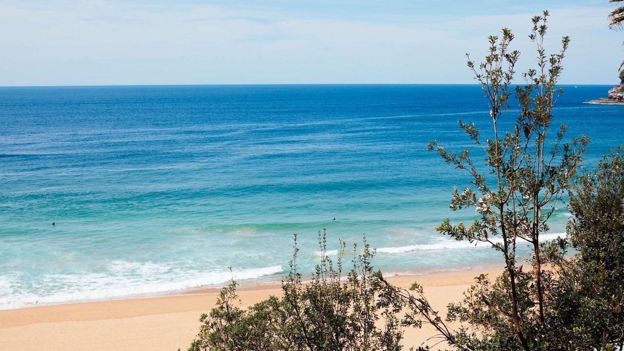 Photo of Others in Whale Beach