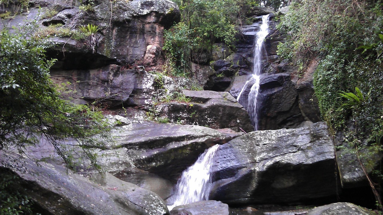 Photo of Outdoor in Witta