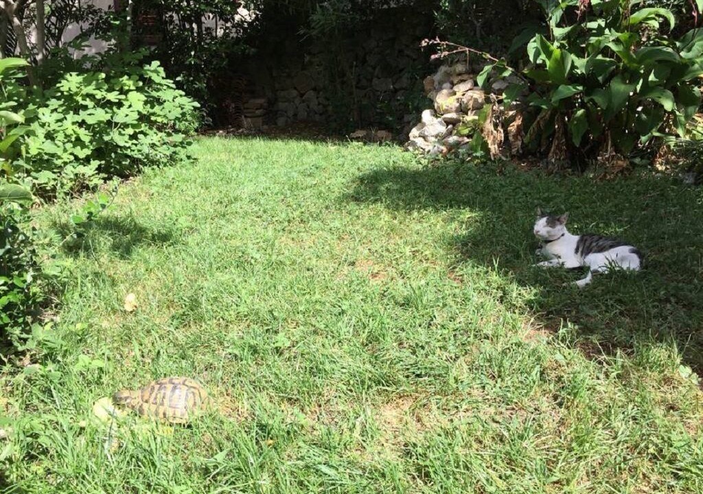 Photo of Others in Pile
