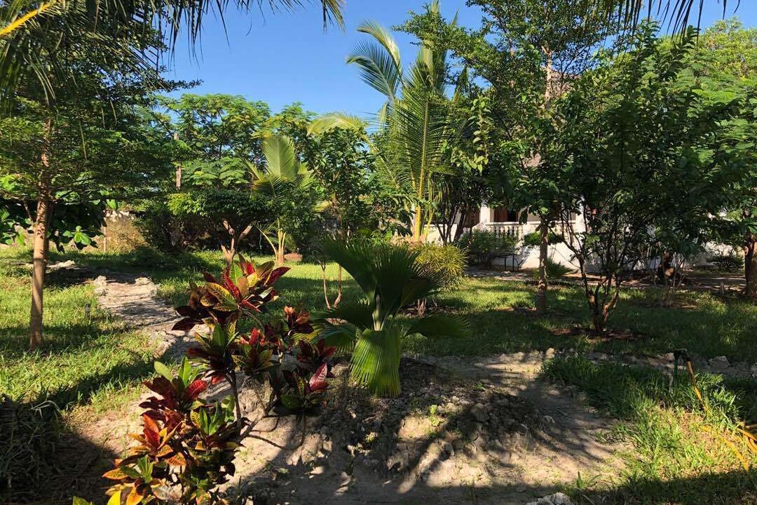 Photo of Outdoor in Bwejuu
