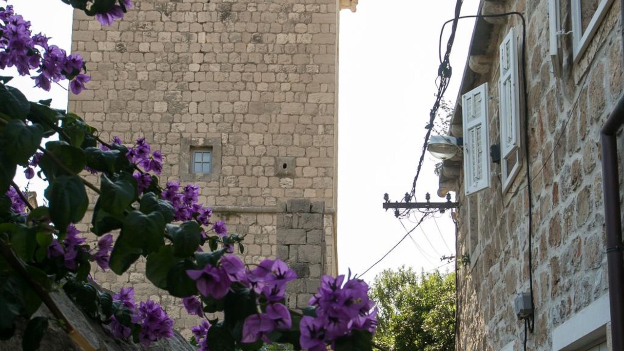 Photo of Outdoor in Sudurad