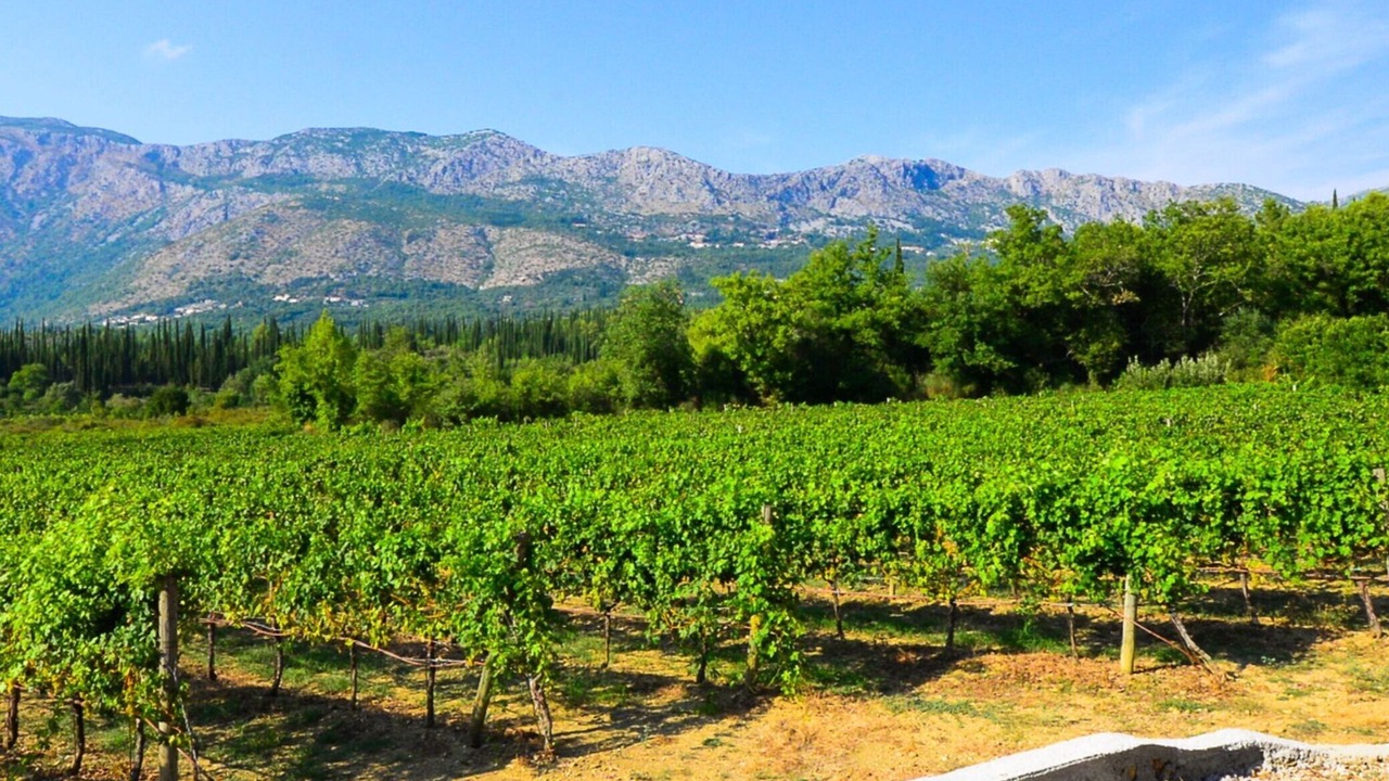 Photo of Outdoor in Zastolje