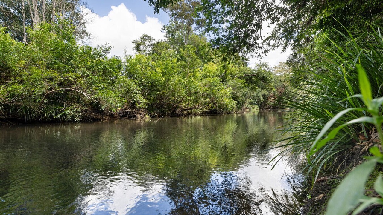 Photo of Others in Kidaman Creek