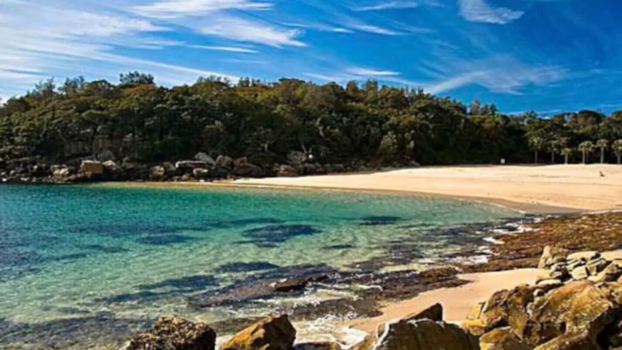 Photo of Others in Manly