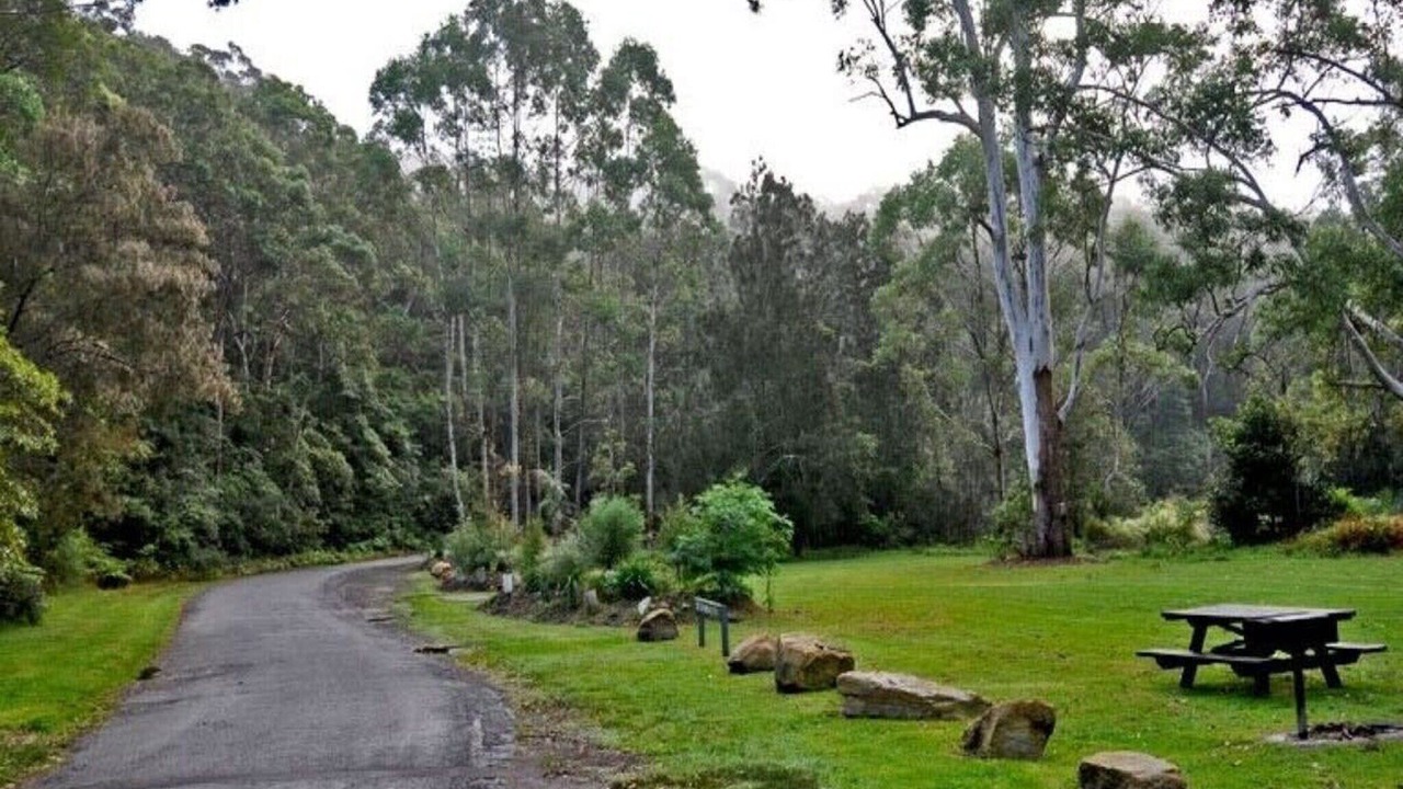 Photo of Others in Lane Cove