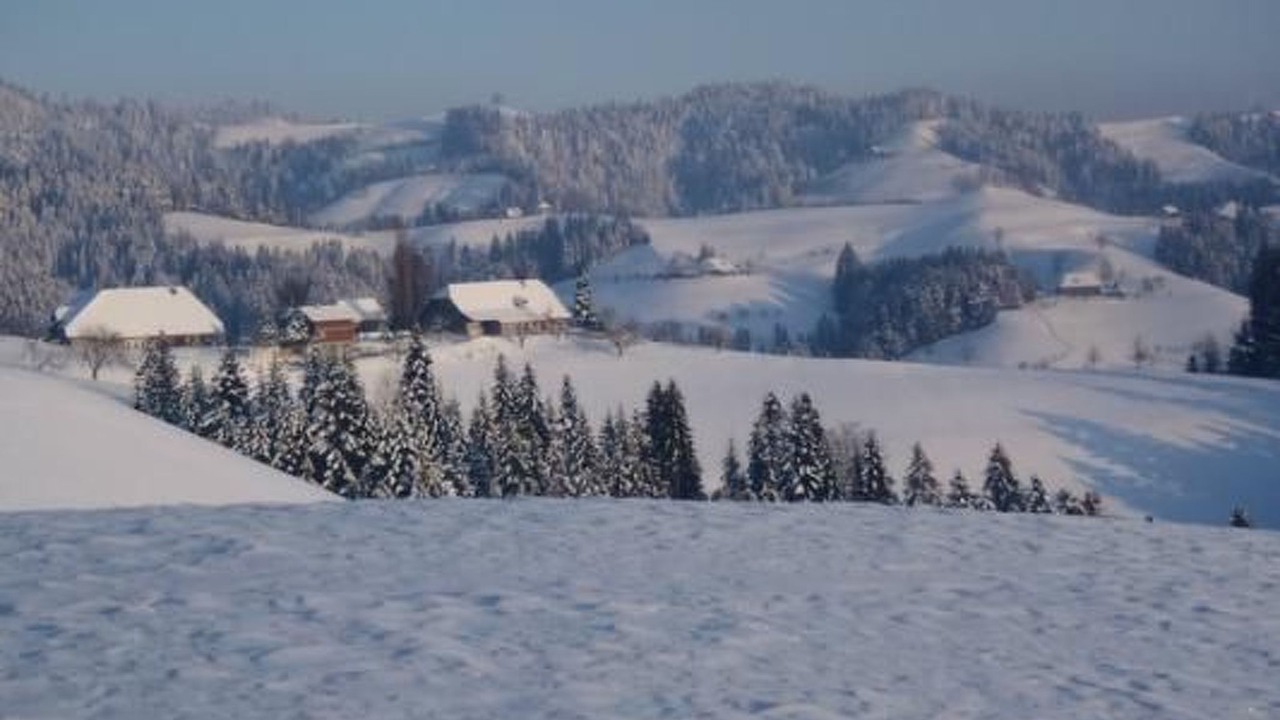 Photo of Others in Lauperswil