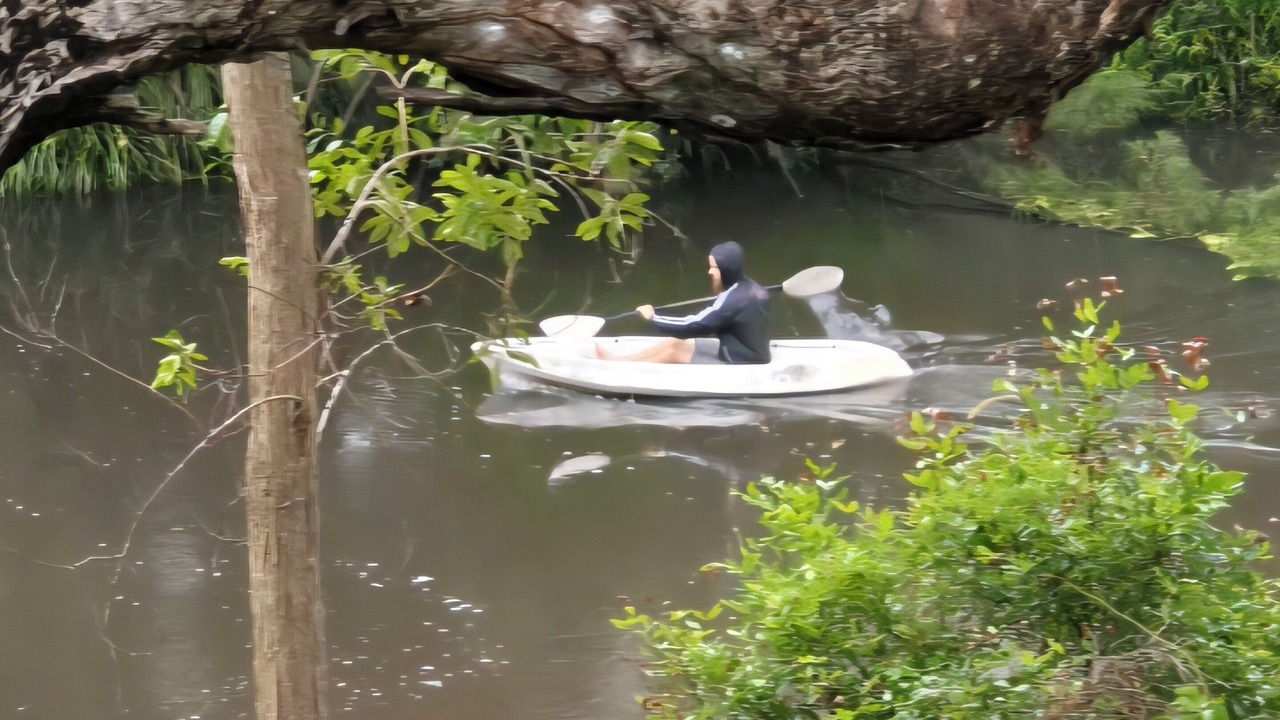 Photo of Others in Conondale