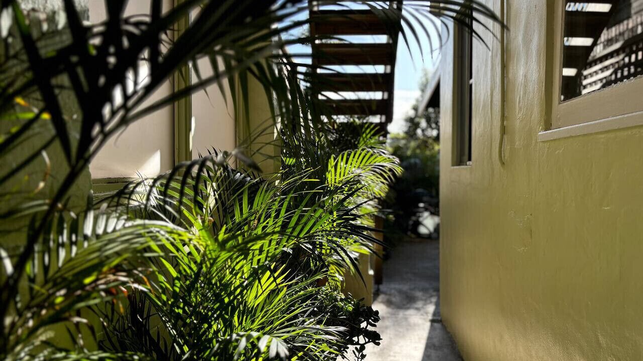 Photo of Outdoor in Balmain