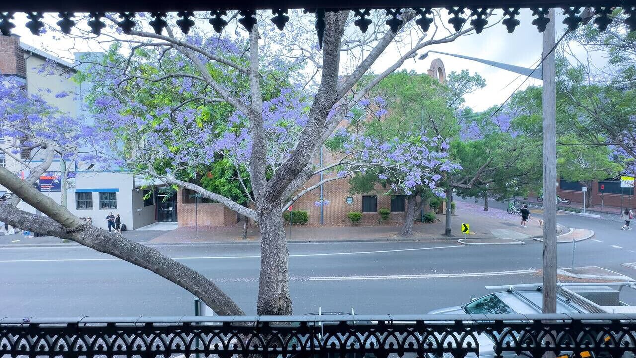 Photo of Outdoor in Glebe
