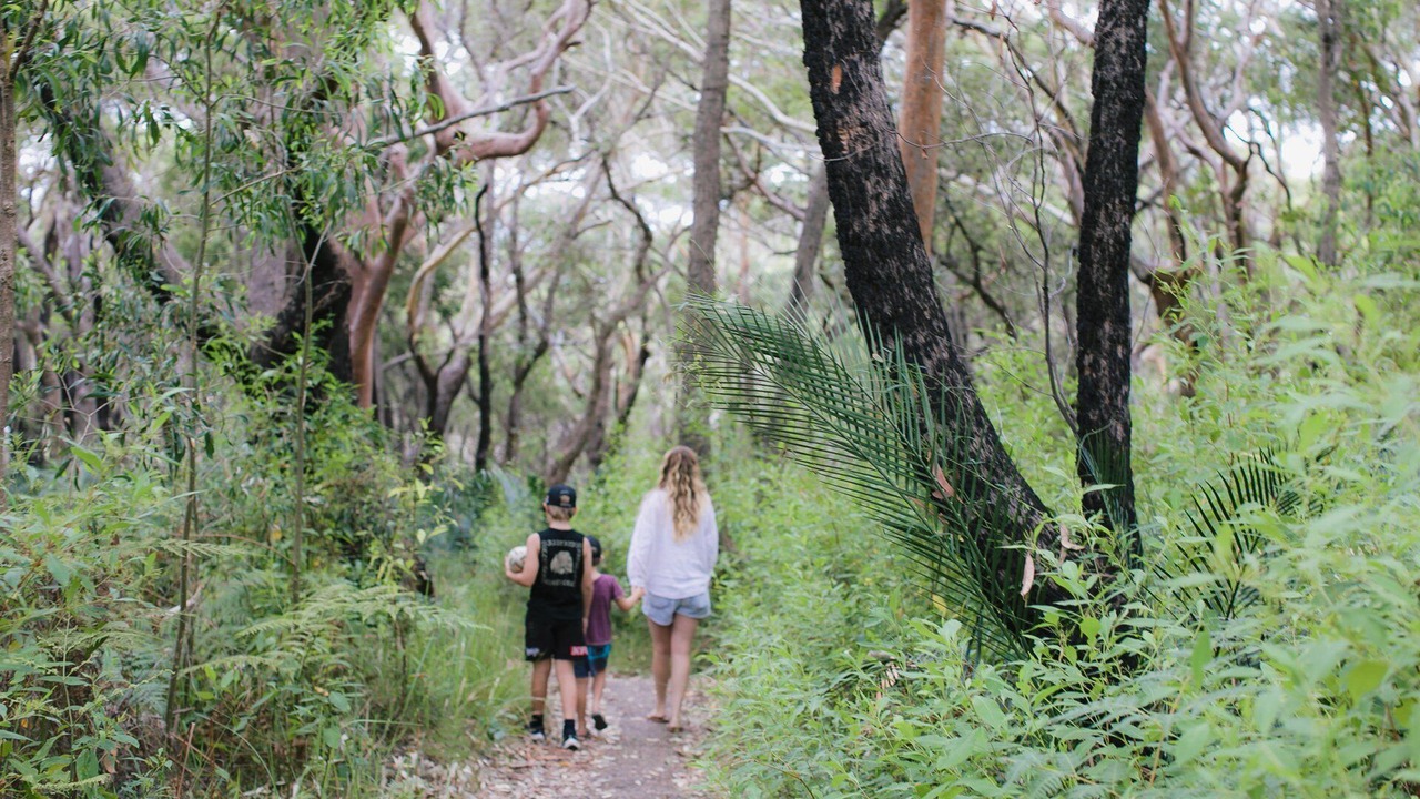 Photo of Others in Macmasters Beach