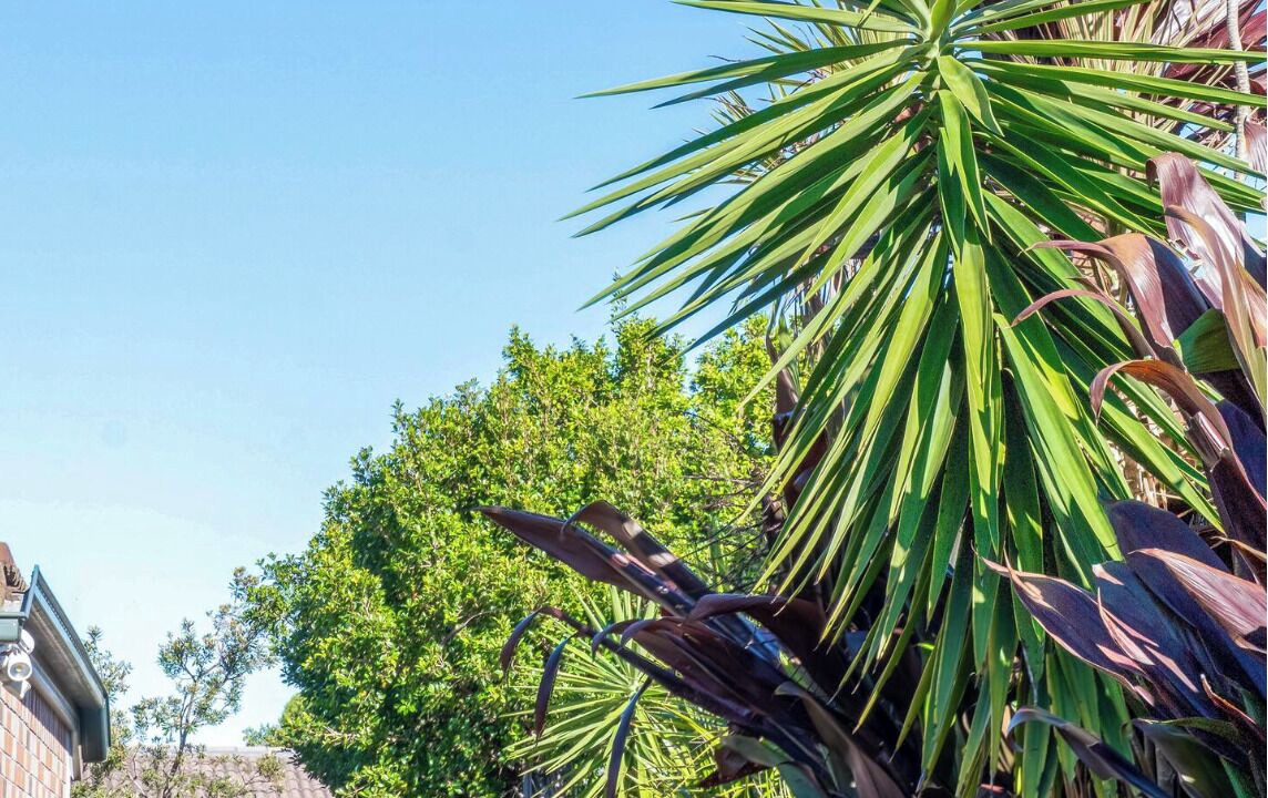 Photo of Outdoor in Coomera