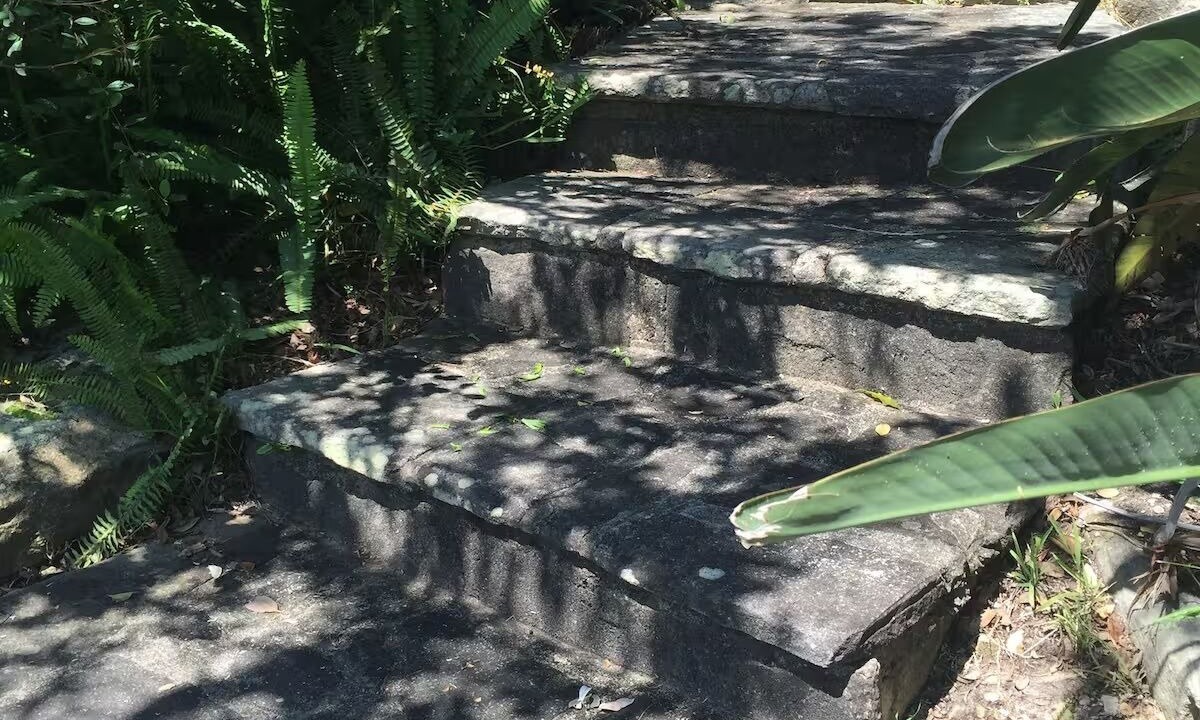 Photo of Outdoor in Freshwater