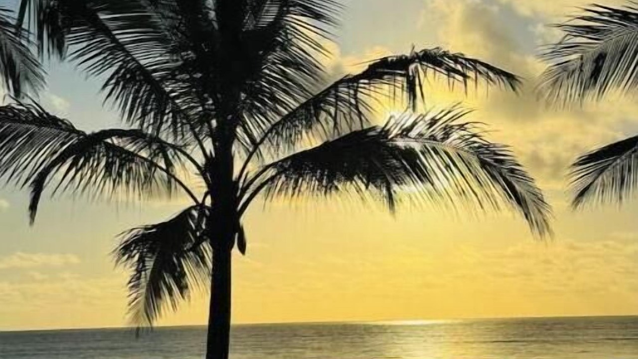 Photo of Outdoor in Jambiani