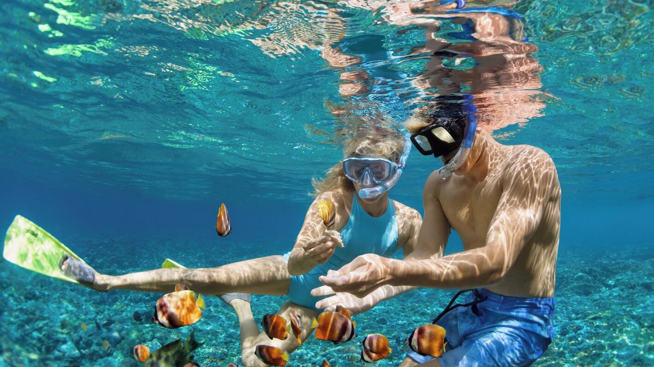 Photo of Others in Split