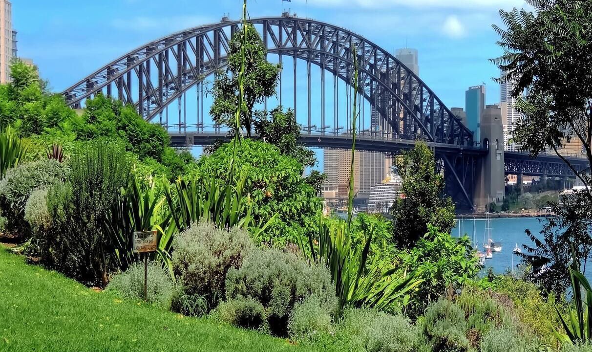 Photo of Others in Neutral Bay