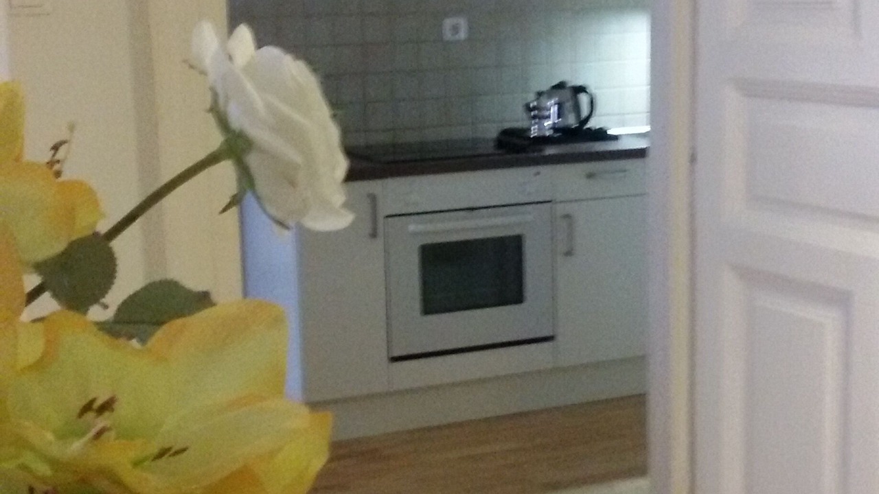 Photo of Kitchen in Terezvaros