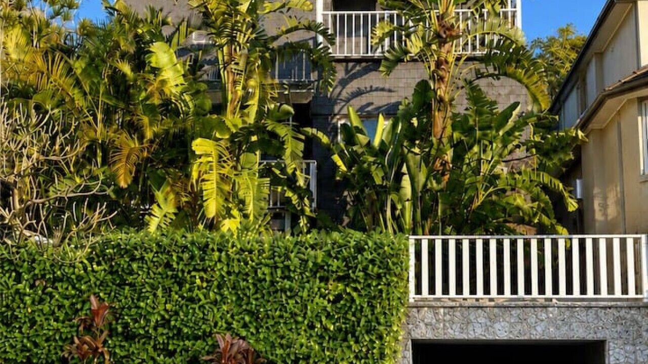 Photo of Outdoor in Balgowlah