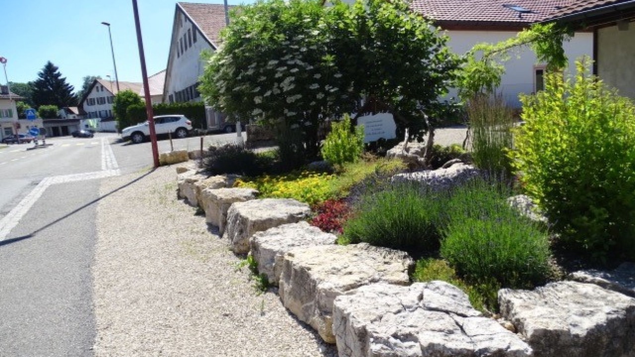 Photo of Others in Lajoux