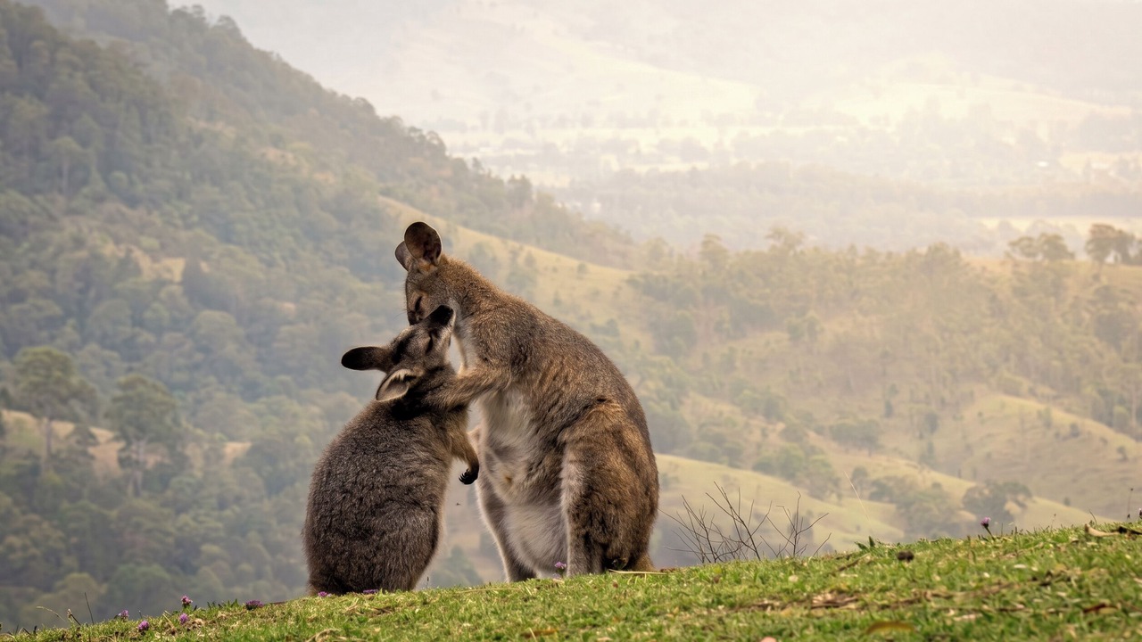 Photo of Others in Vacy