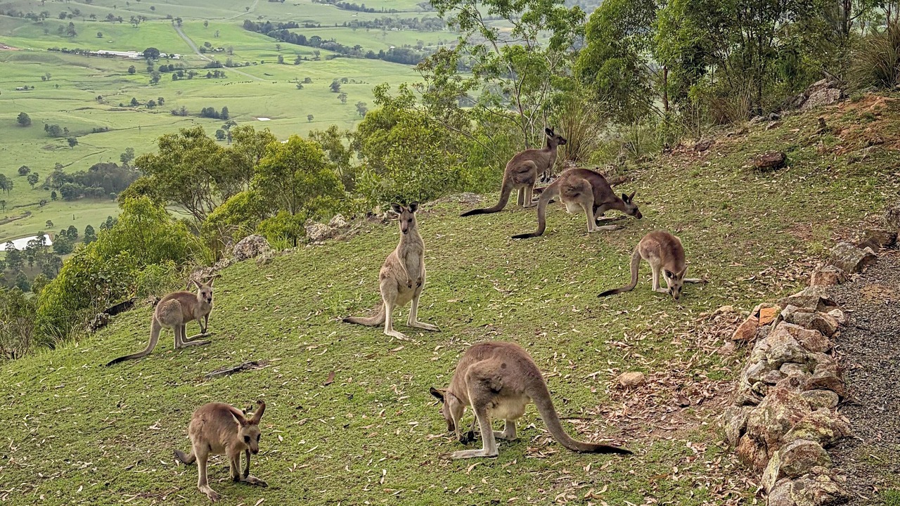 Photo of Others in Vacy