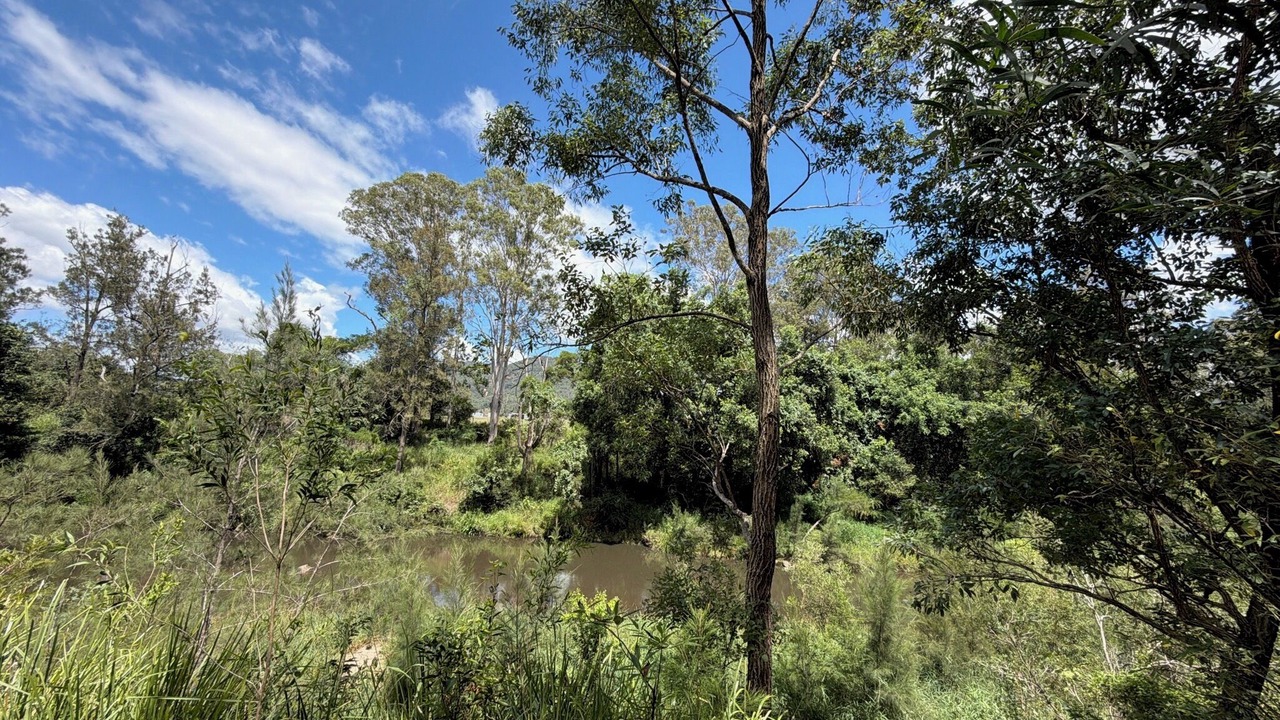 Photo of Others in Conondale