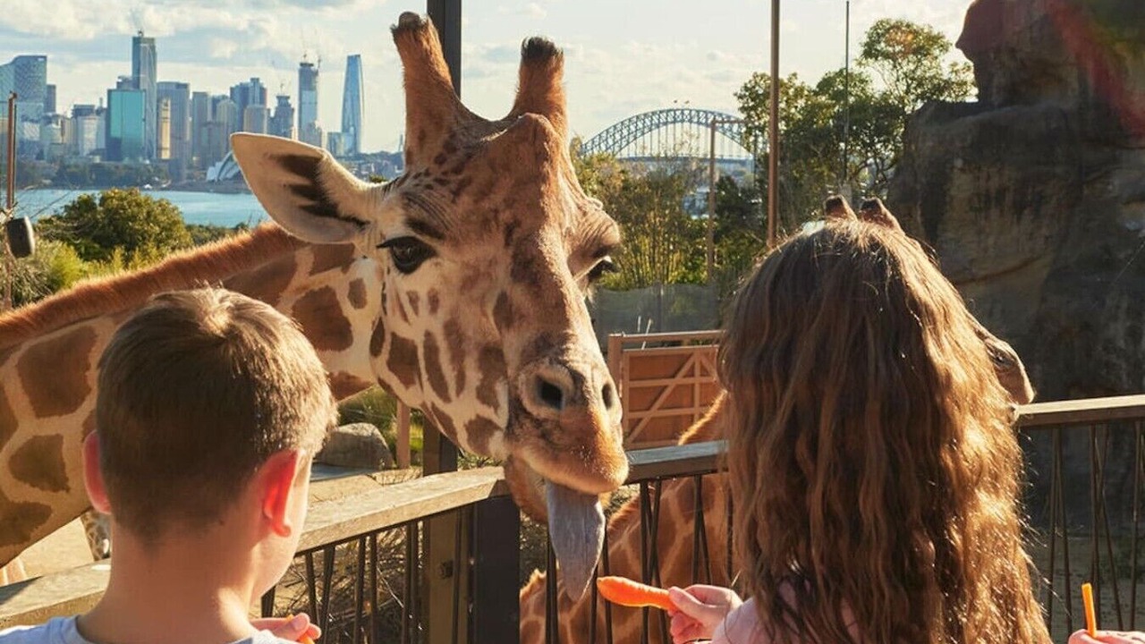 Photo of Others in North Sydney