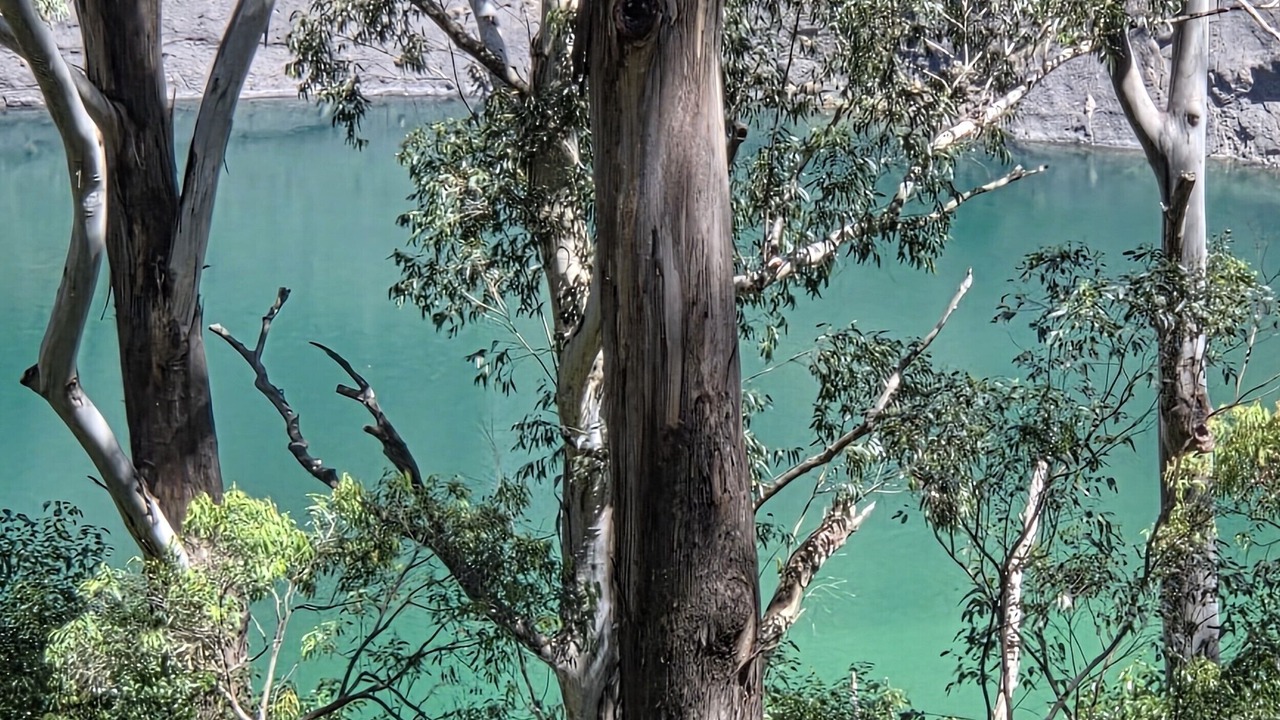 Photo of Others in Hornsby
