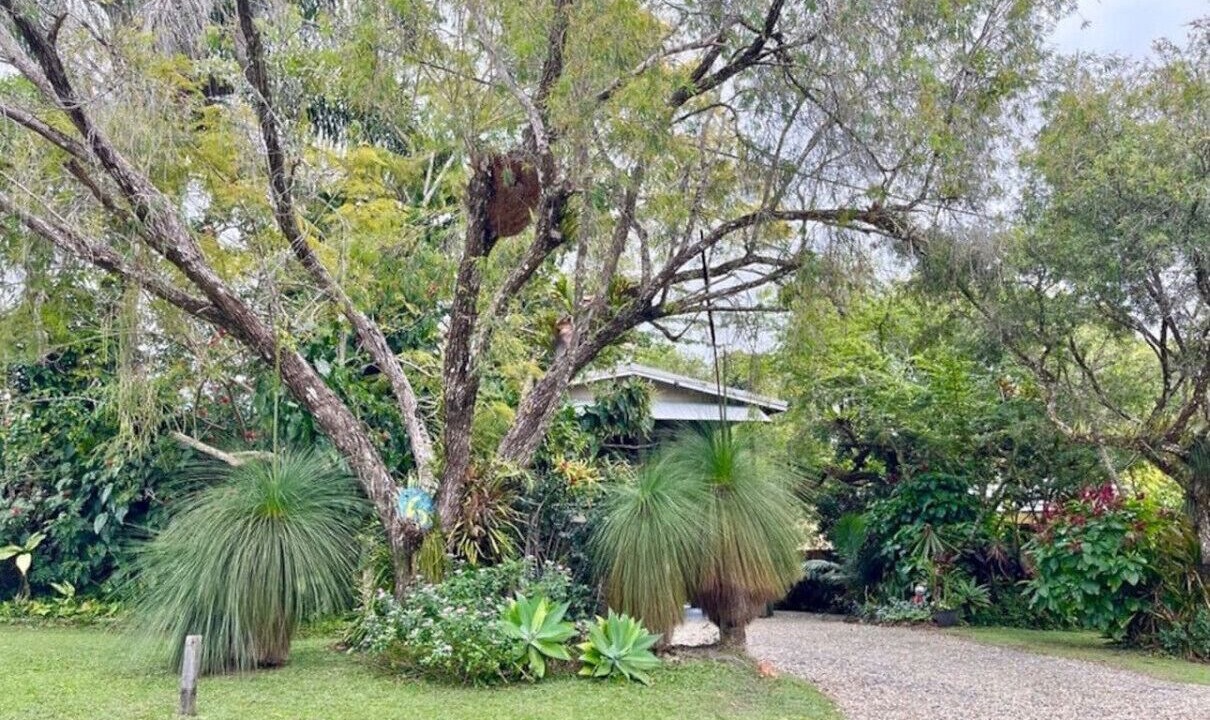 Photo of Outdoor in Kuranda