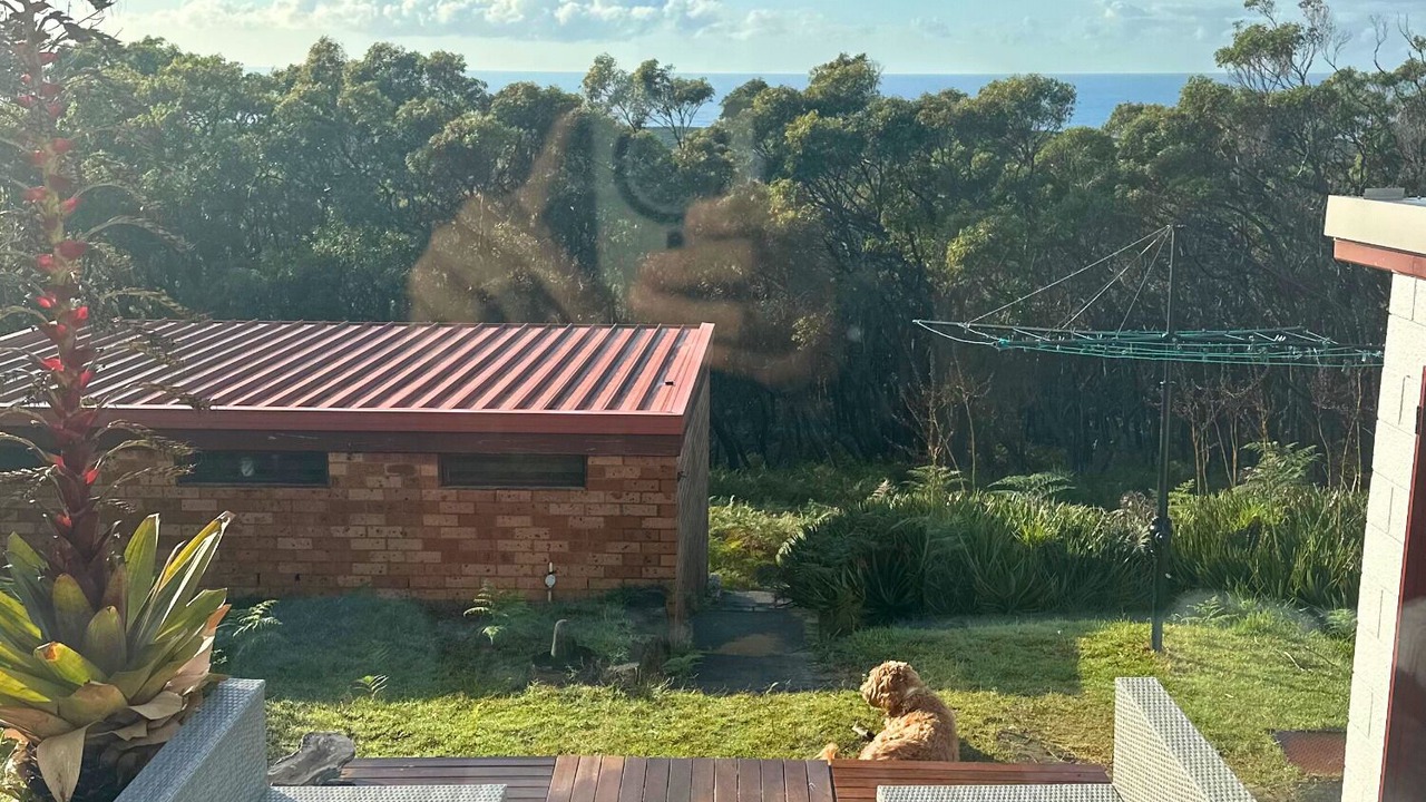 Photo of Outdoor in Bundeena
