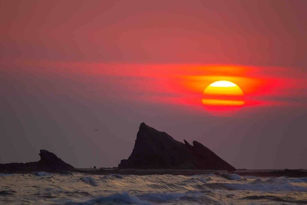 Photo of Others in Currumbin