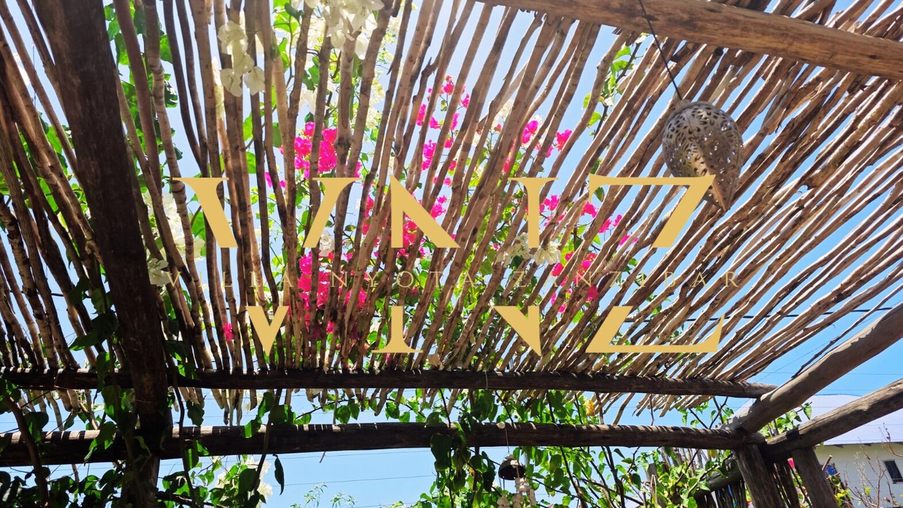 Photo of Outdoor in Jambiani