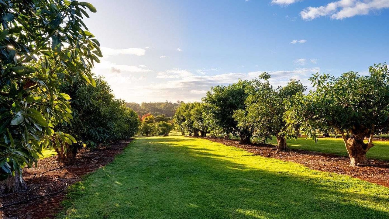 Photo of Outdoor in North Tamborine