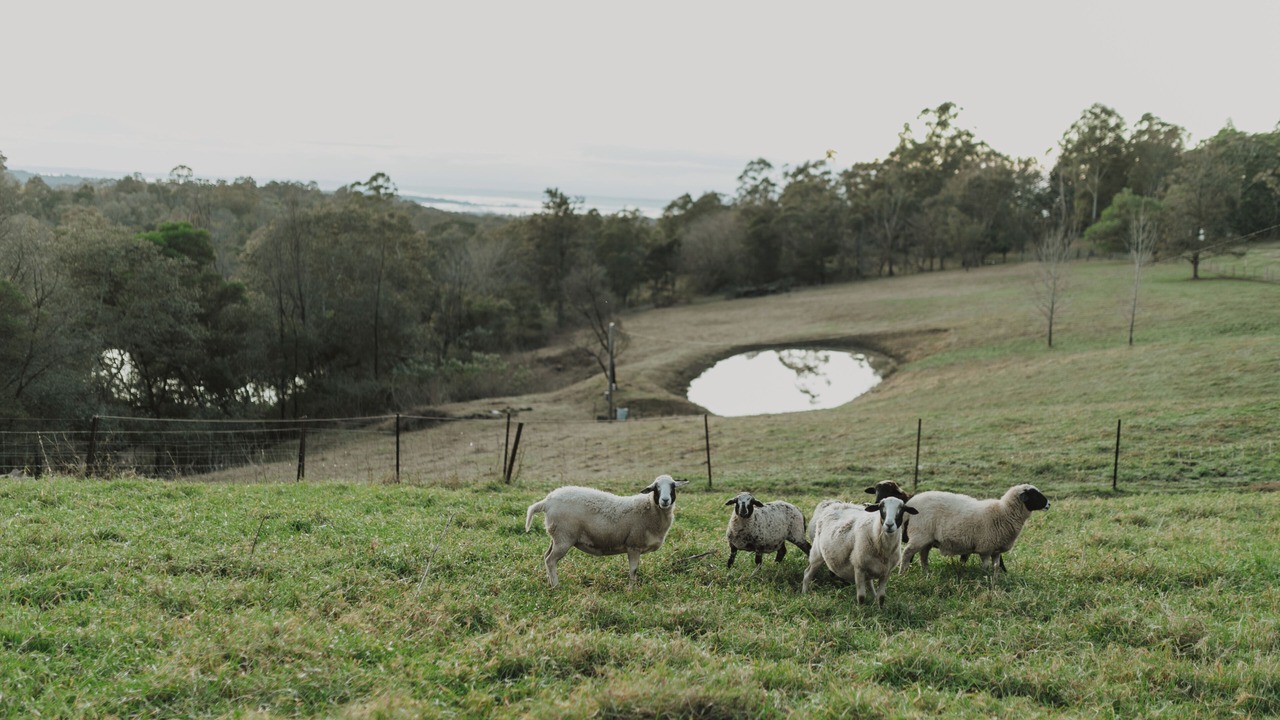 Photo of Others in Grose Vale