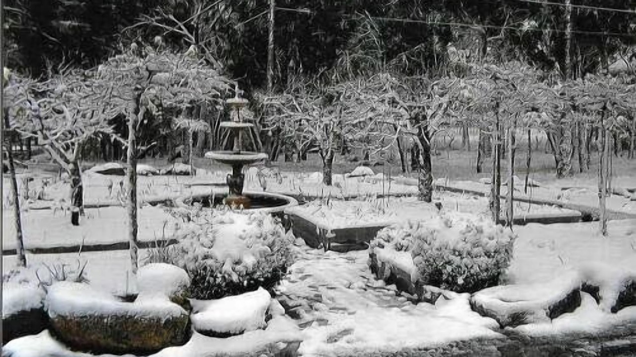 Photo of Outdoor in Eukey
