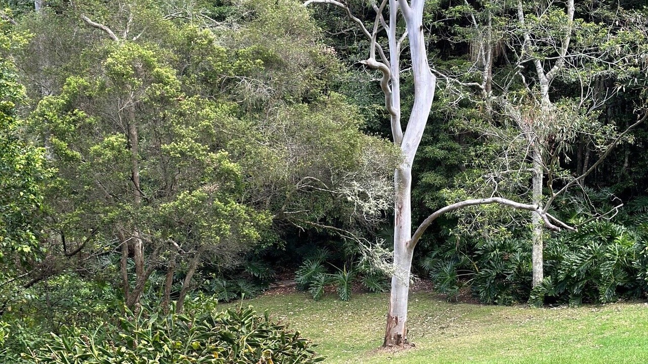 Photo of Outdoor in Kincumber