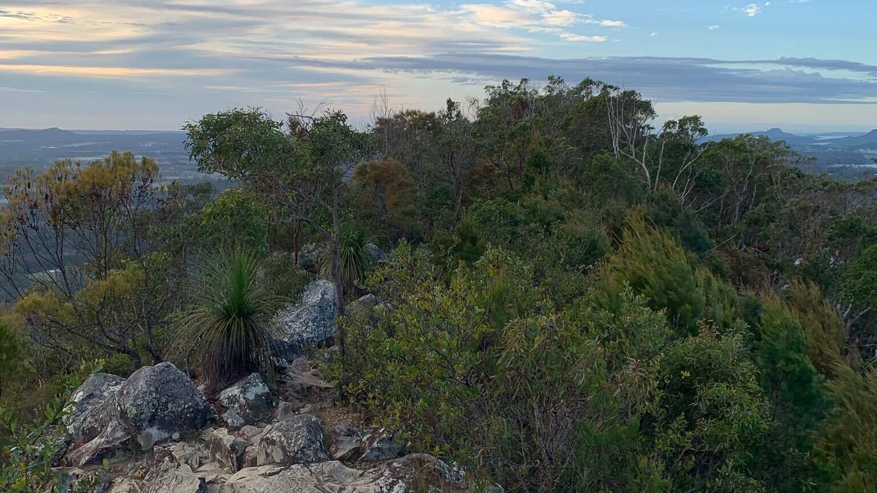 Photo of Others in Cootharaba