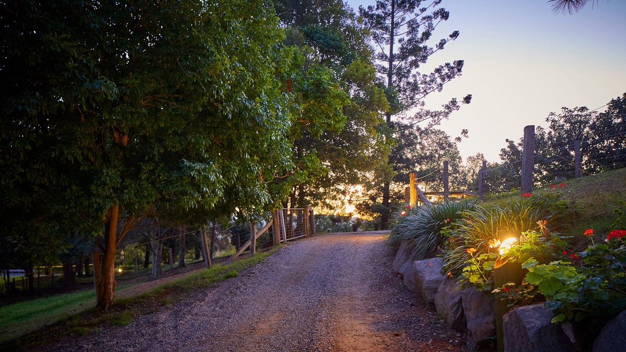 Photo of Outdoor in King Scrub