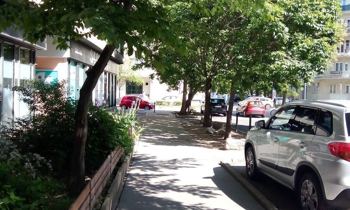 Photo of Outdoor in Castle Hill