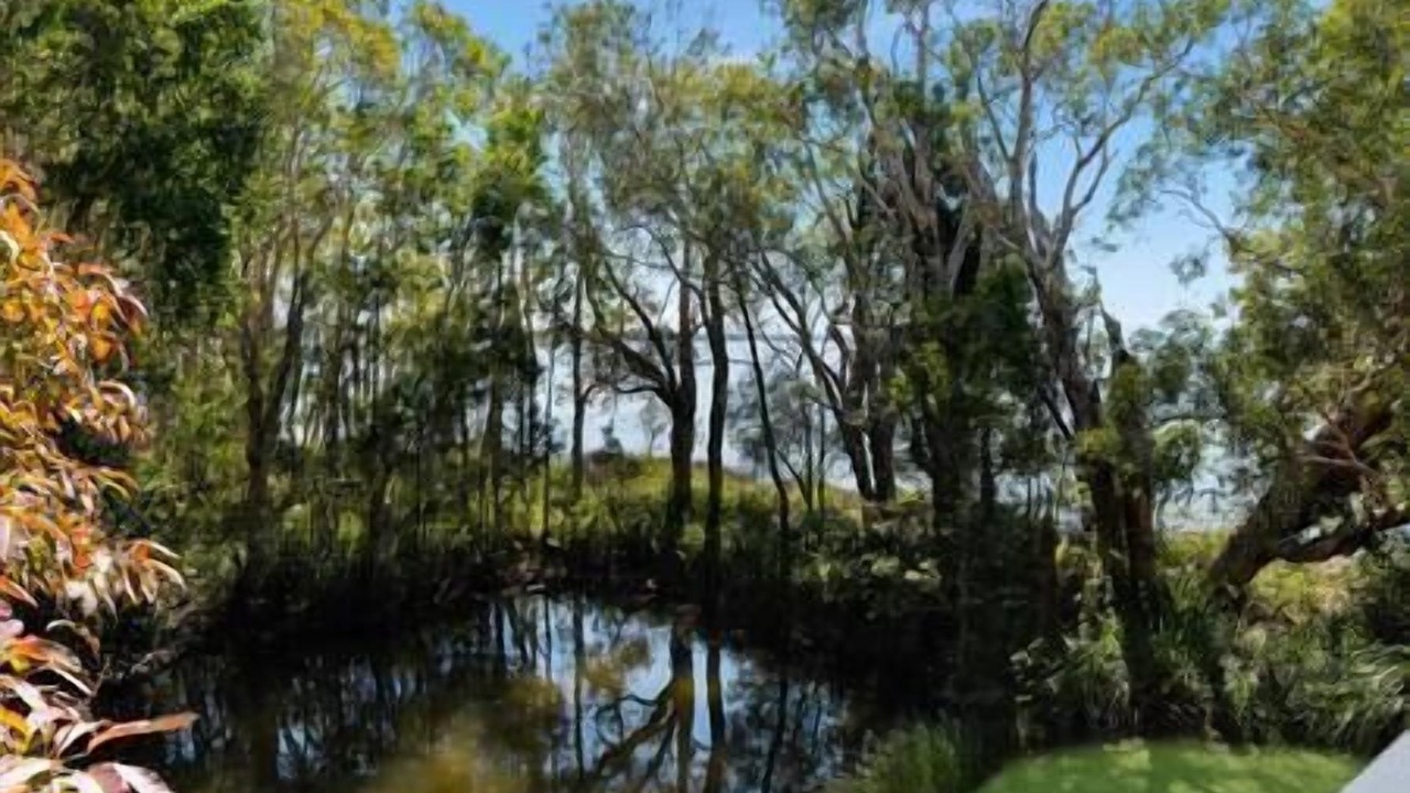 Photo of Outdoor in Boreen Point