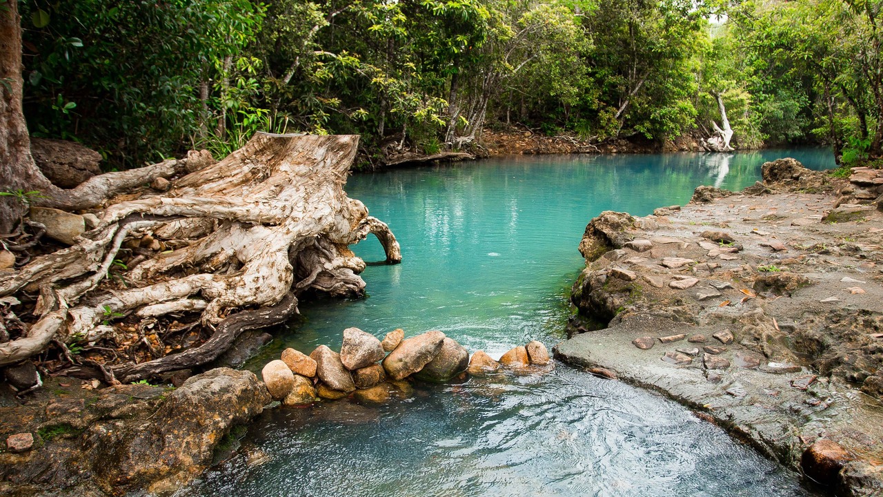 Photo of Outdoor in Cardwell