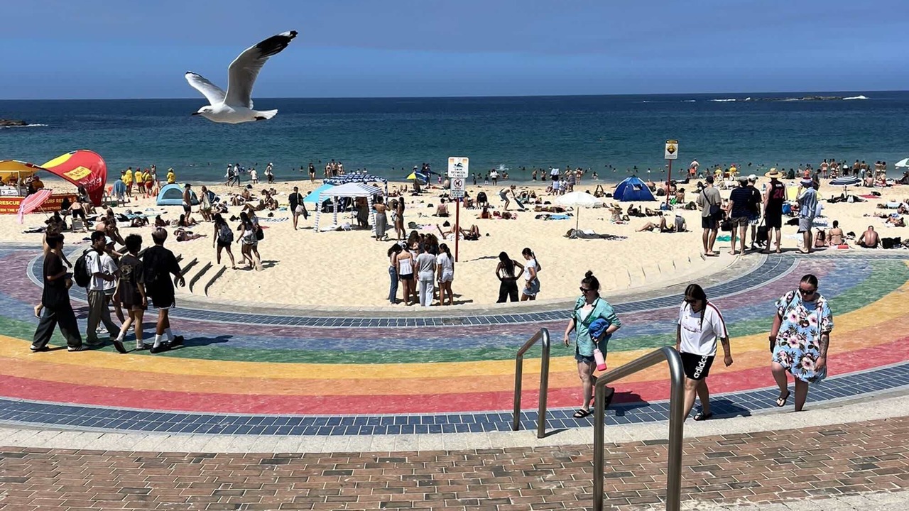Photo of Others in Coogee