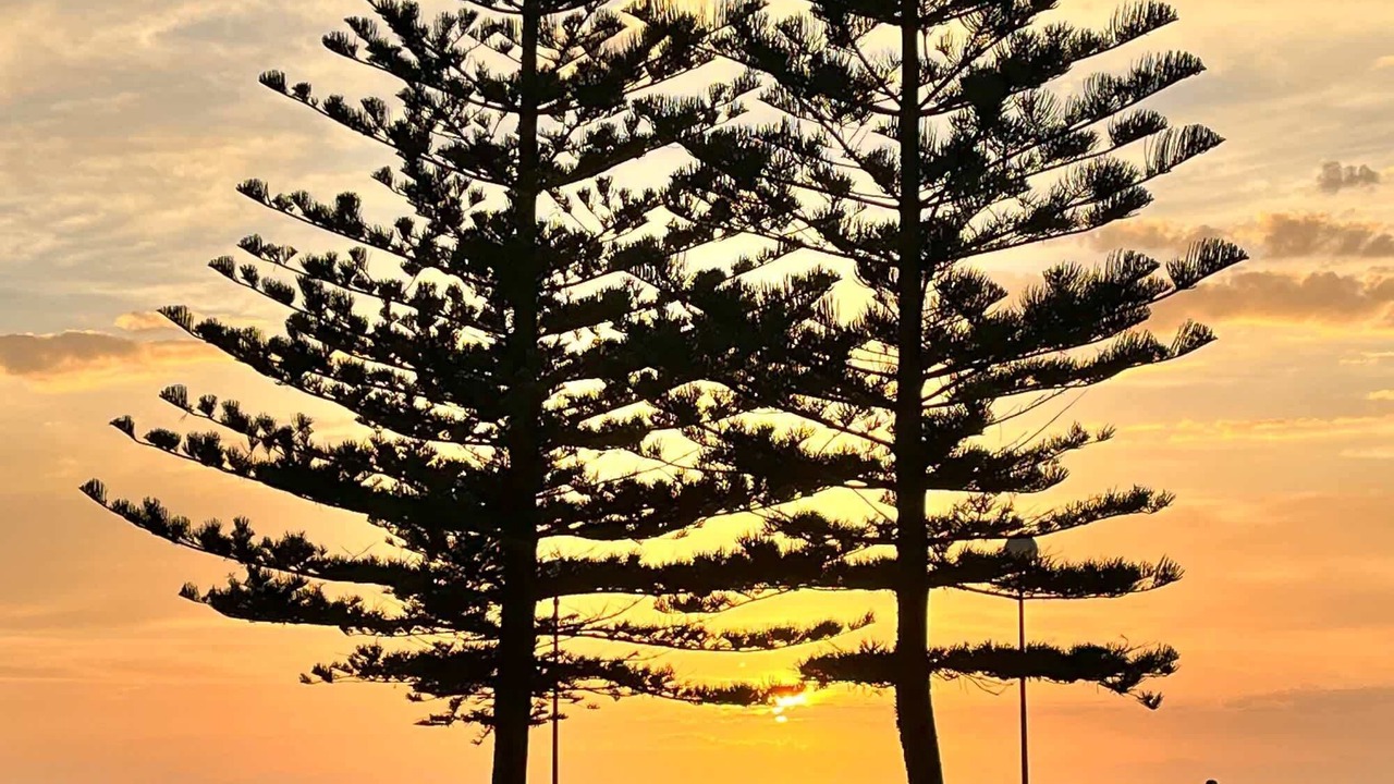Photo of Others in Coogee