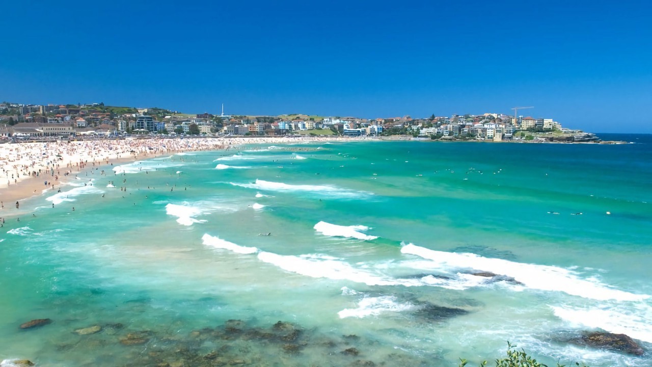 Photo of Others in Bondi