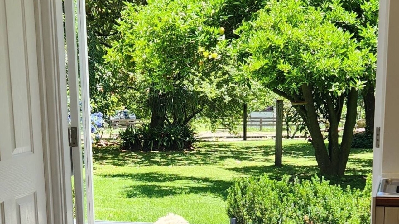 Photo of Others in Bilpin