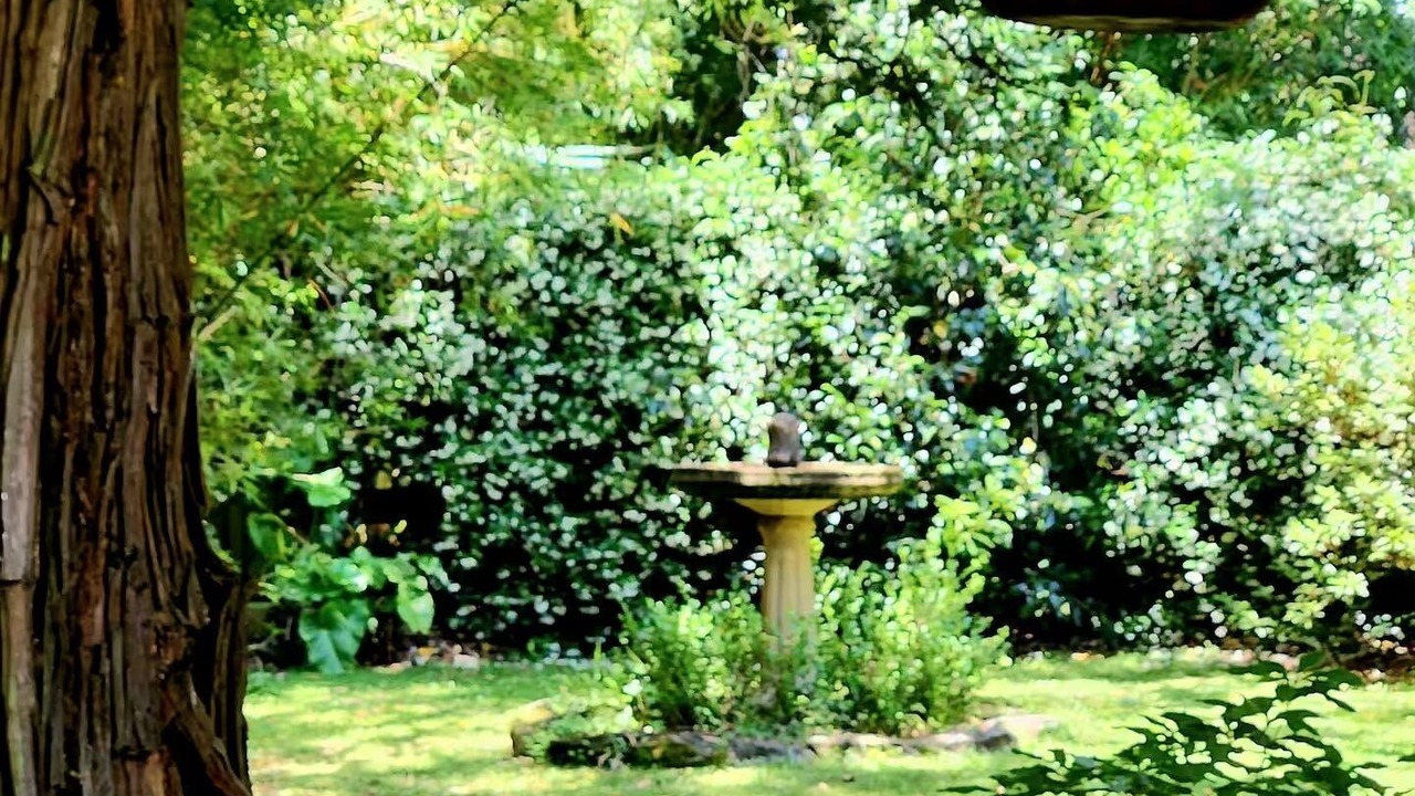 Photo of Outdoor in Bilpin