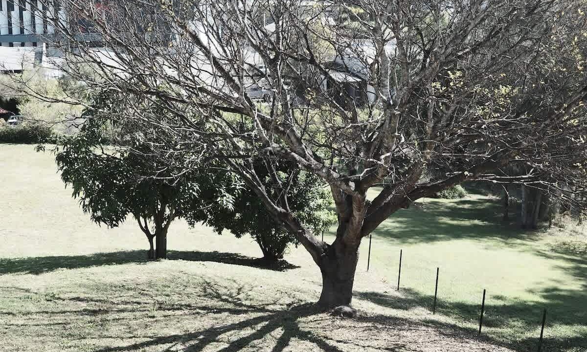 Photo of Outdoor in West Ipswich