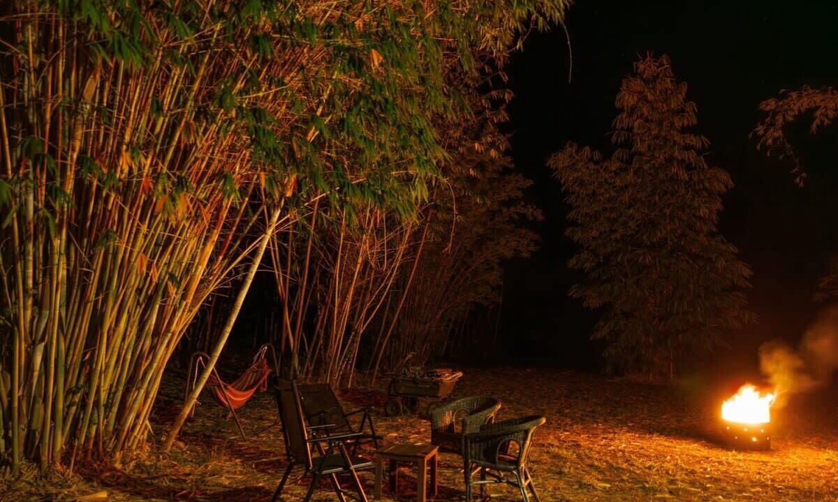 Photo of Outdoor in Bauple