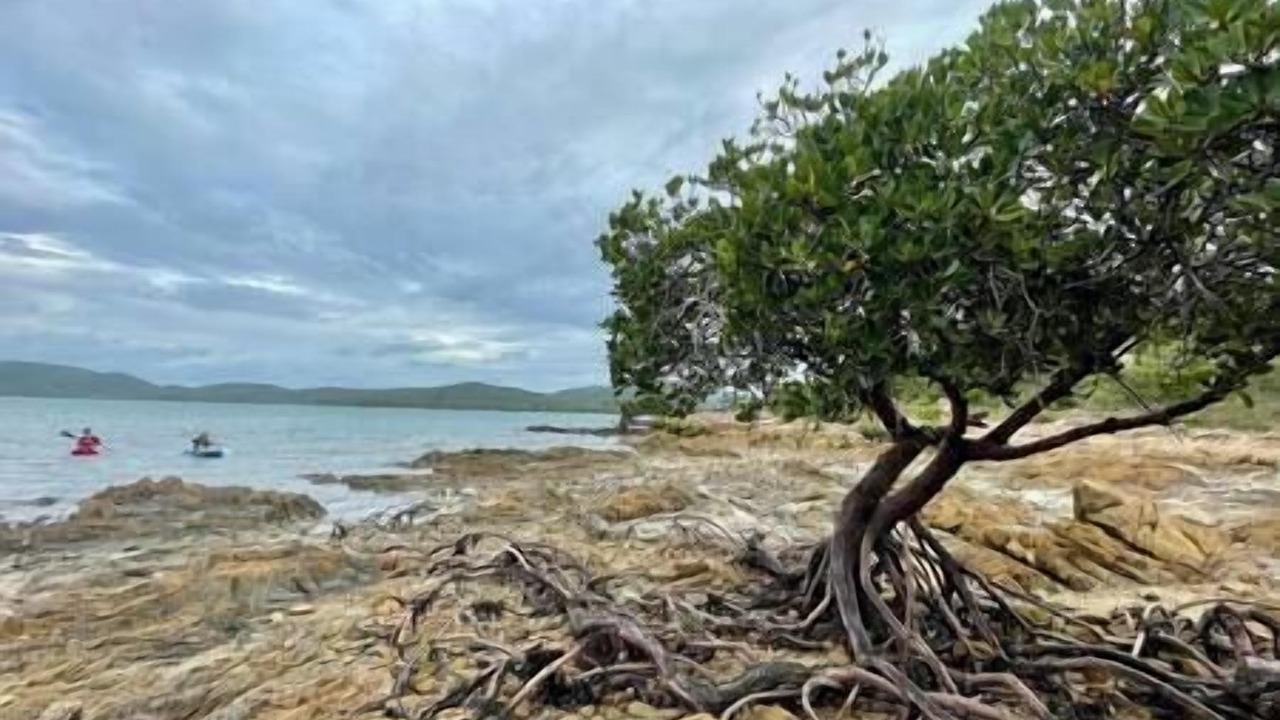 Photo of Others in Hideaway Bay