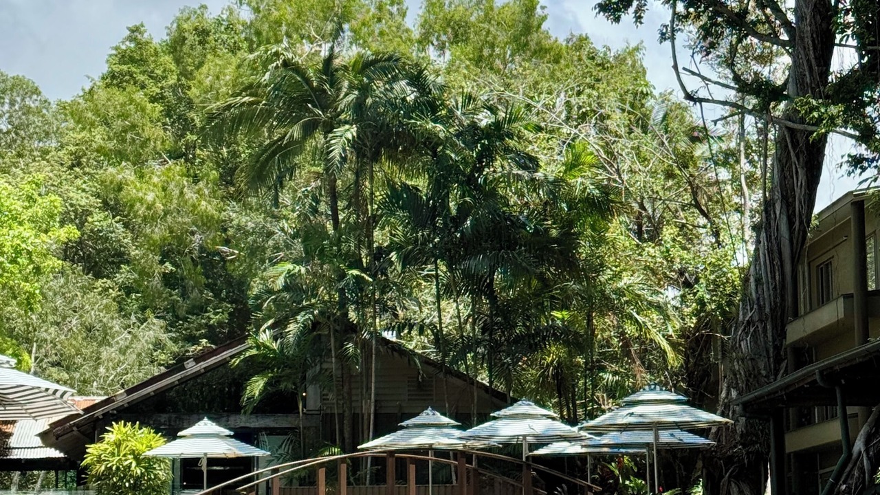 Photo of Outdoor in Port Douglas