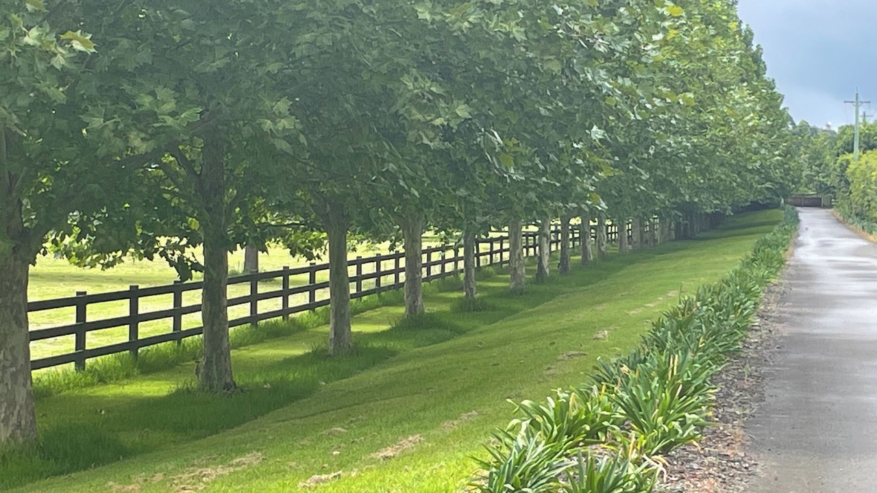 Photo of Outdoor in Richmond Lowlands